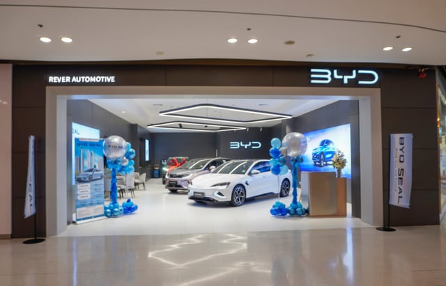 Chinese EV factories