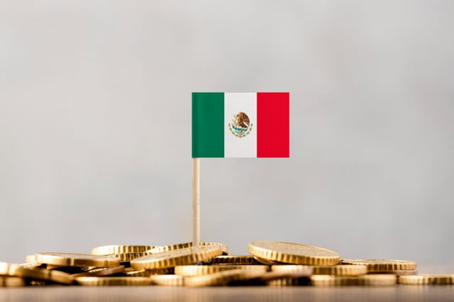 Mexican FDI